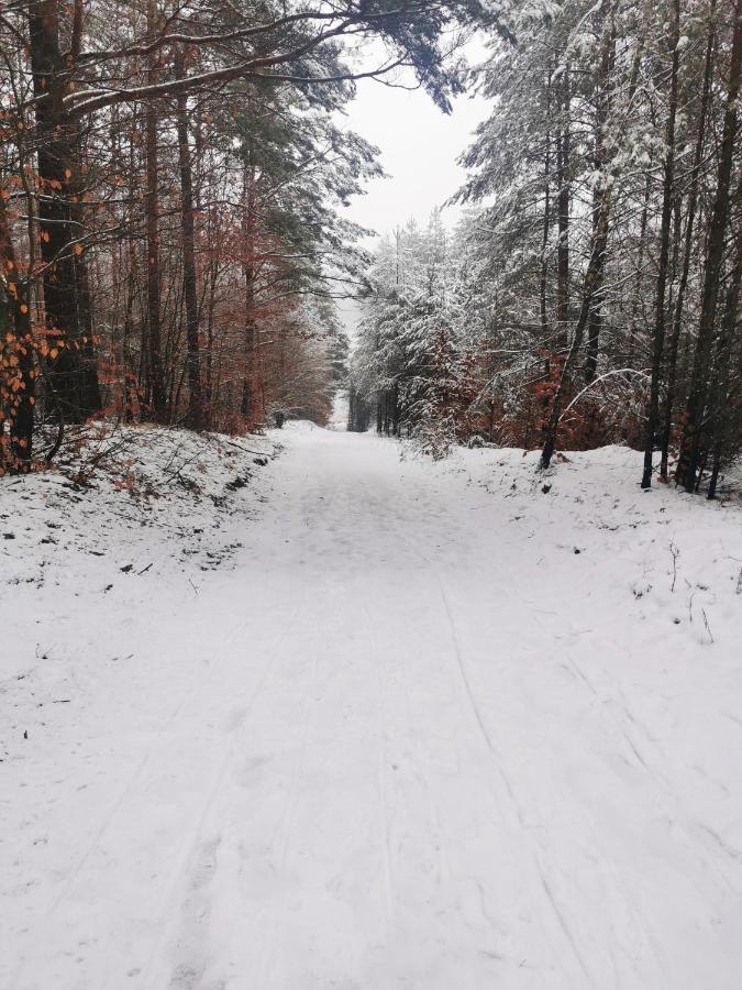 Kaszuby W Ostoja Bukowo - U Malgoski Domek 6 Z Widokiem Na Las I Internetem Villa Borowy Mlyn Kültér fotó