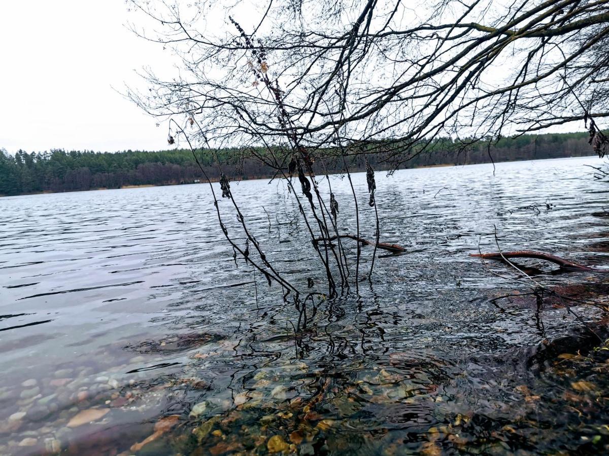 Kaszuby W Ostoja Bukowo - U Malgoski Domek 6 Z Widokiem Na Las I Internetem Villa Borowy Mlyn Kültér fotó