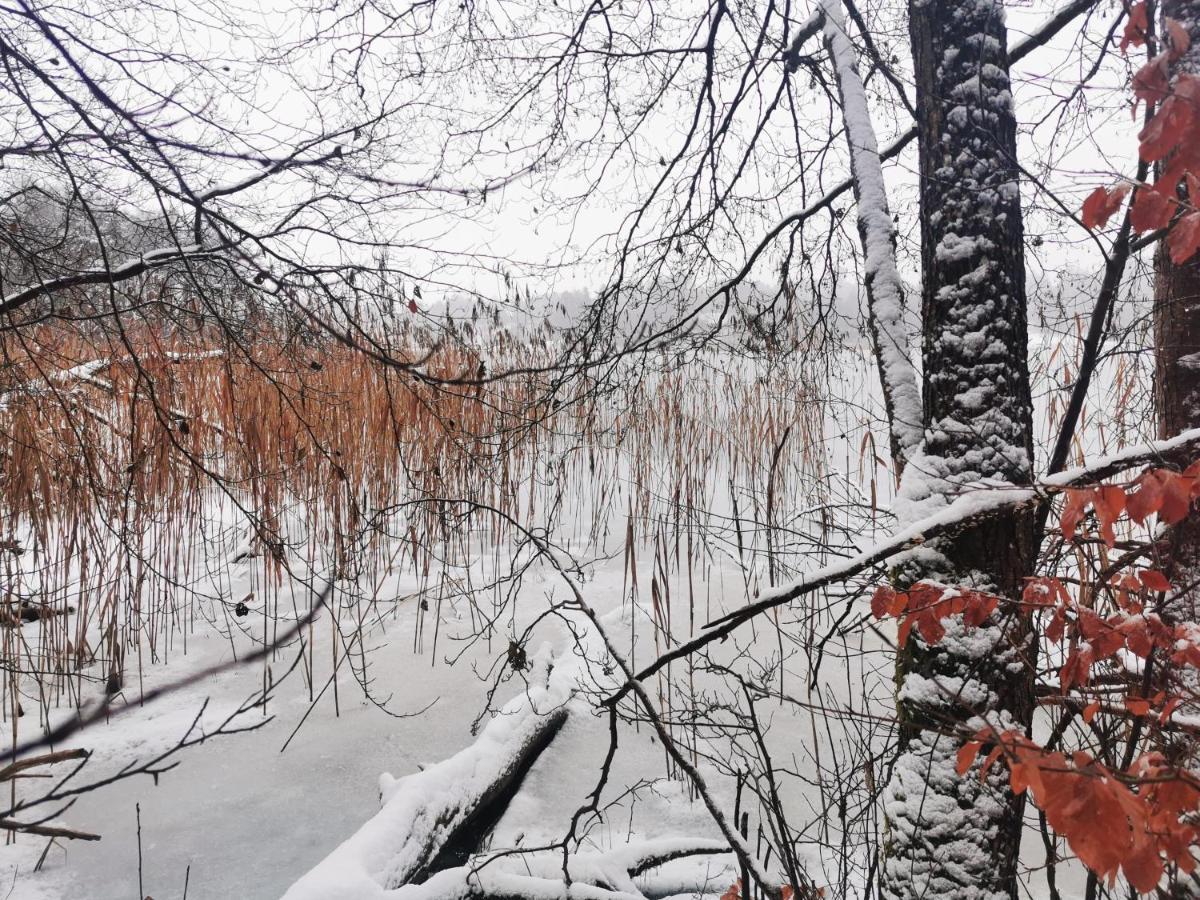 Kaszuby W Ostoja Bukowo - U Malgoski Domek 6 Z Widokiem Na Las I Internetem Villa Borowy Mlyn Kültér fotó